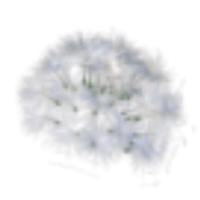 Dandelion Hat - Rare from Spring Fest 2023 Dandelion Hat - Rare from Spring Fest 2023